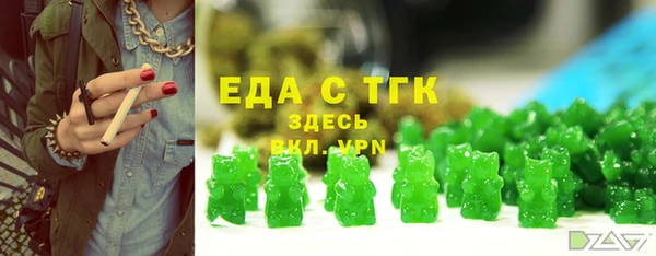 скорость Каменка