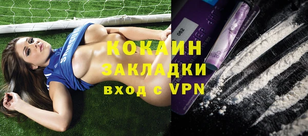 скорость Каменка