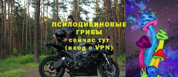 скорость Каменка